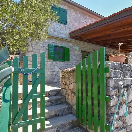 House Vesela ツコン