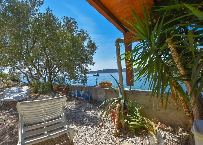 House Vesela تكون