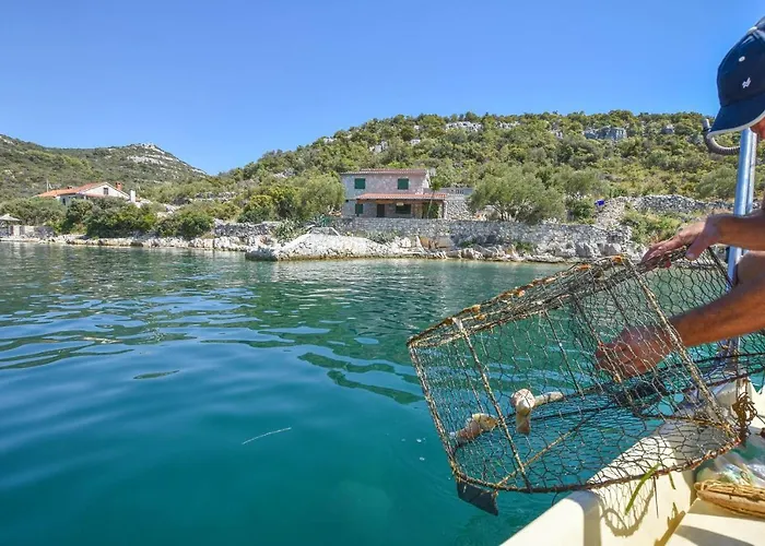 House Vesela بيت للعطل تكون